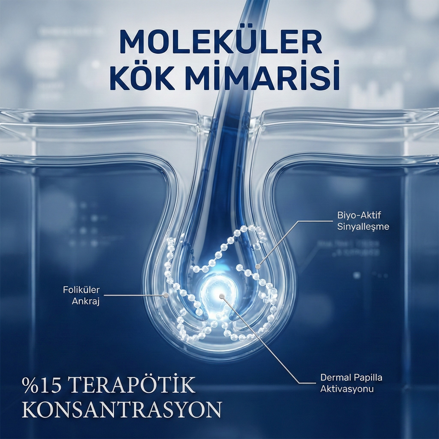 Kök Odaklı Saç Destek Protokolü