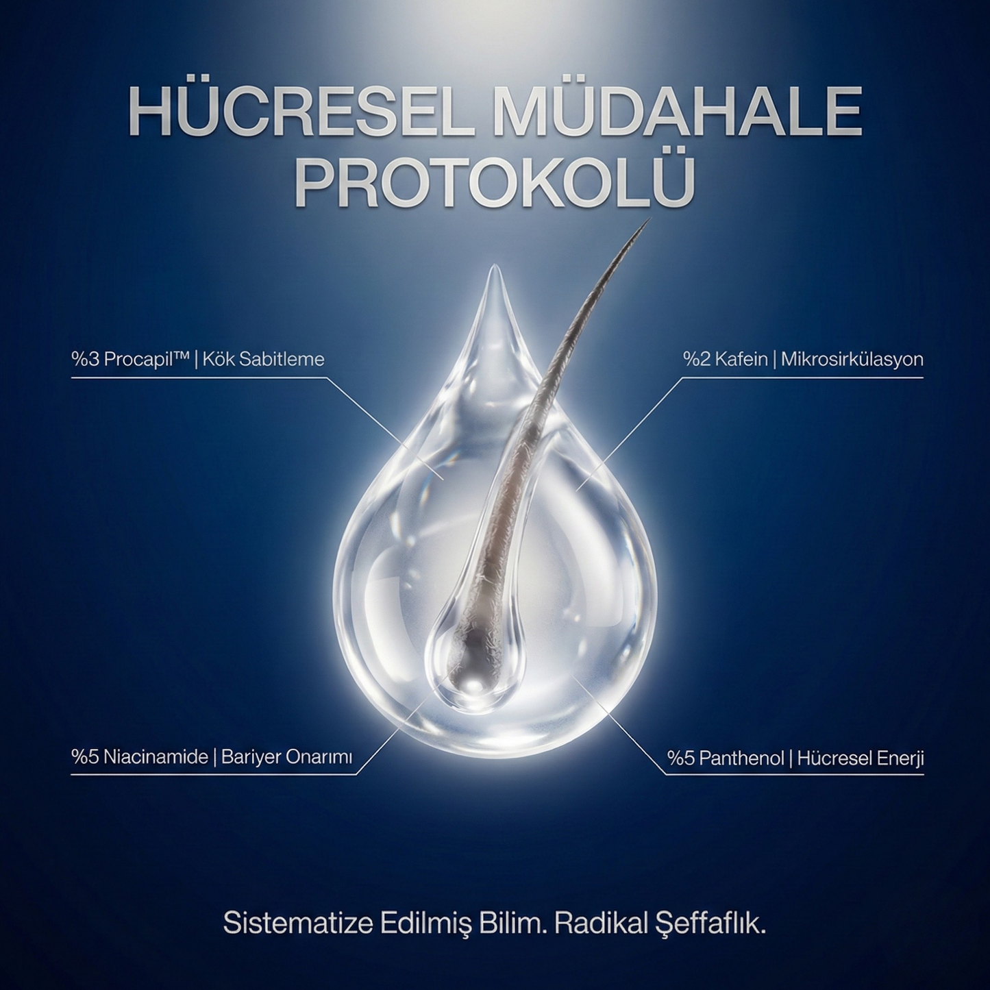 Kök Odaklı Saç Destek Protokolü